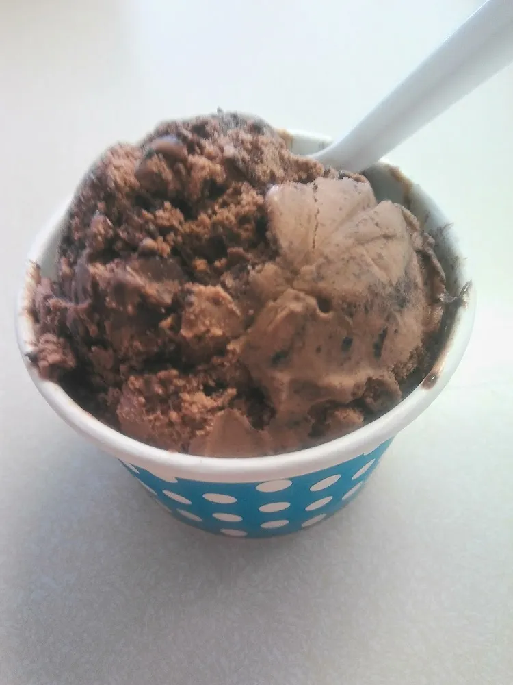 Chocolate Ice Cream