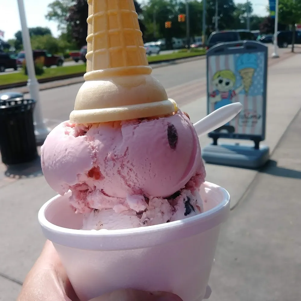 Michigan Black Cherry Ice Cream Cone